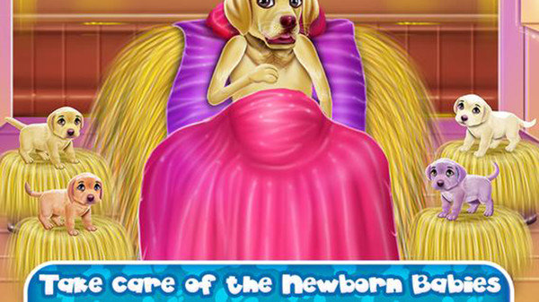 ����鿴��ͼ