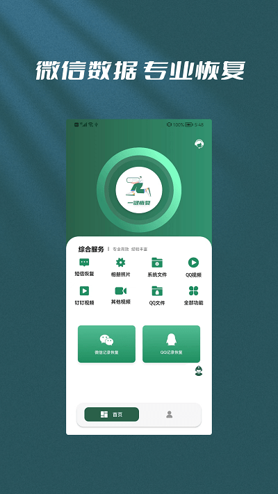 �ָ���ʦ���ݻָ�����