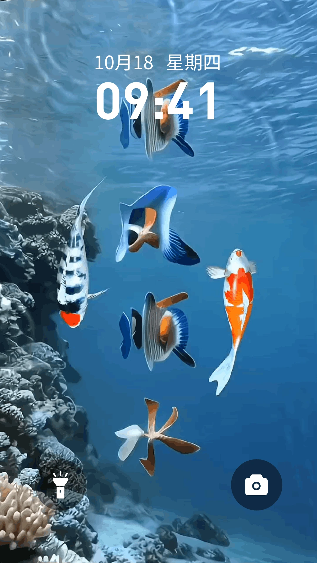 ����鿴��ͼ