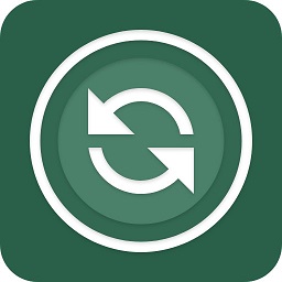 �ָ���ʦ���ݻָ�����