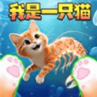 ����è����ս