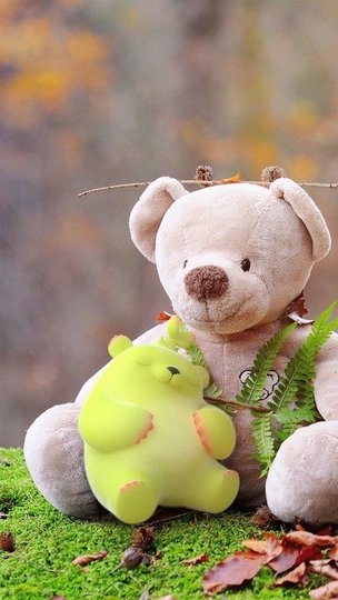 ��ѿ�ܵ�С����