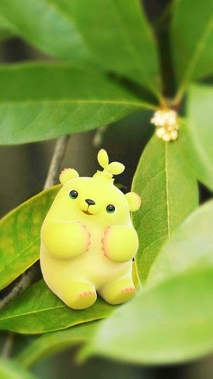 ����鿴��ͼ