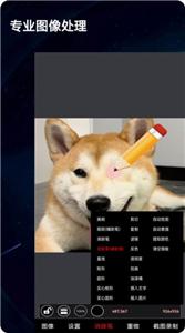 ¼����������