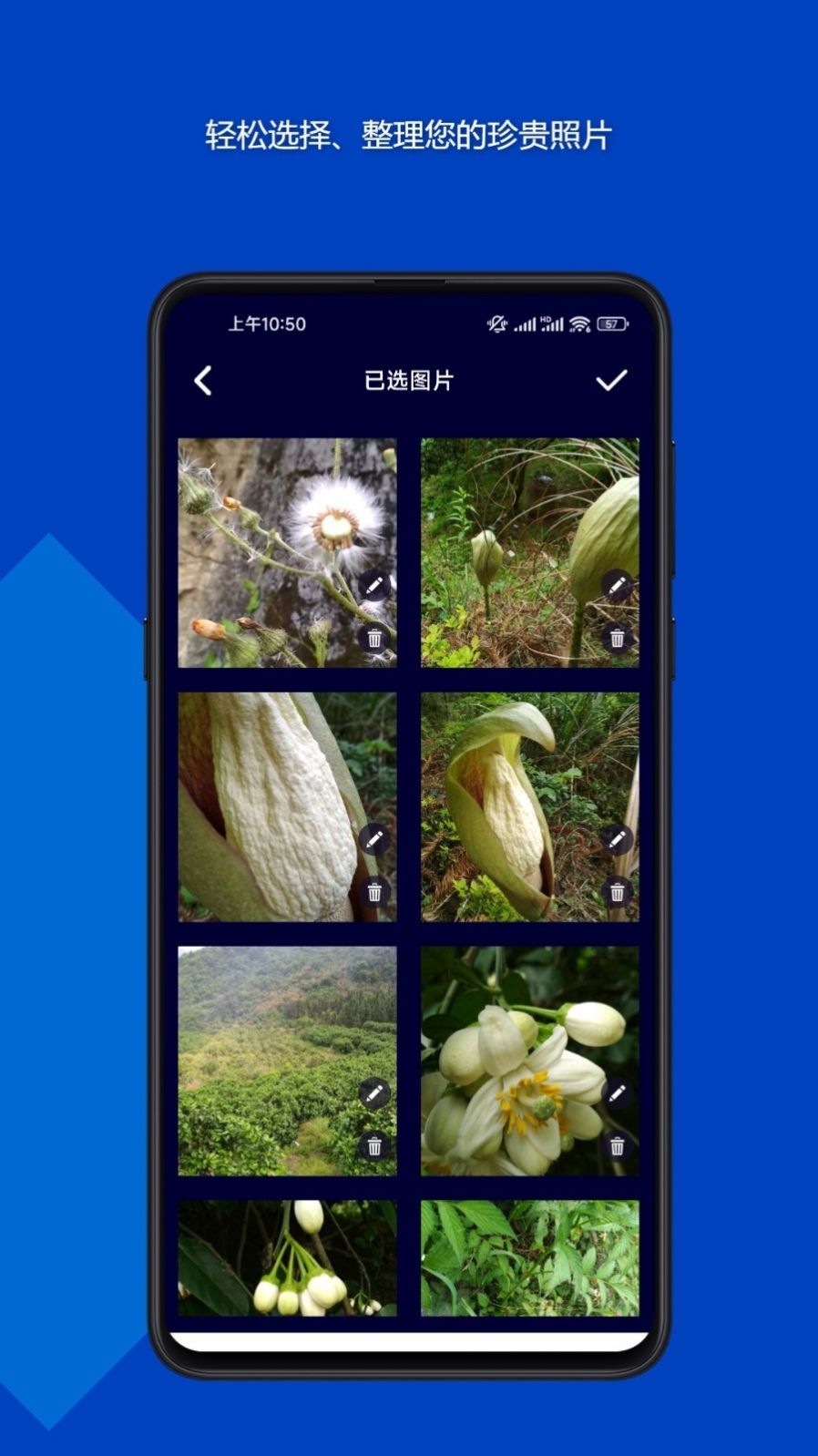 ����鿴��ͼ