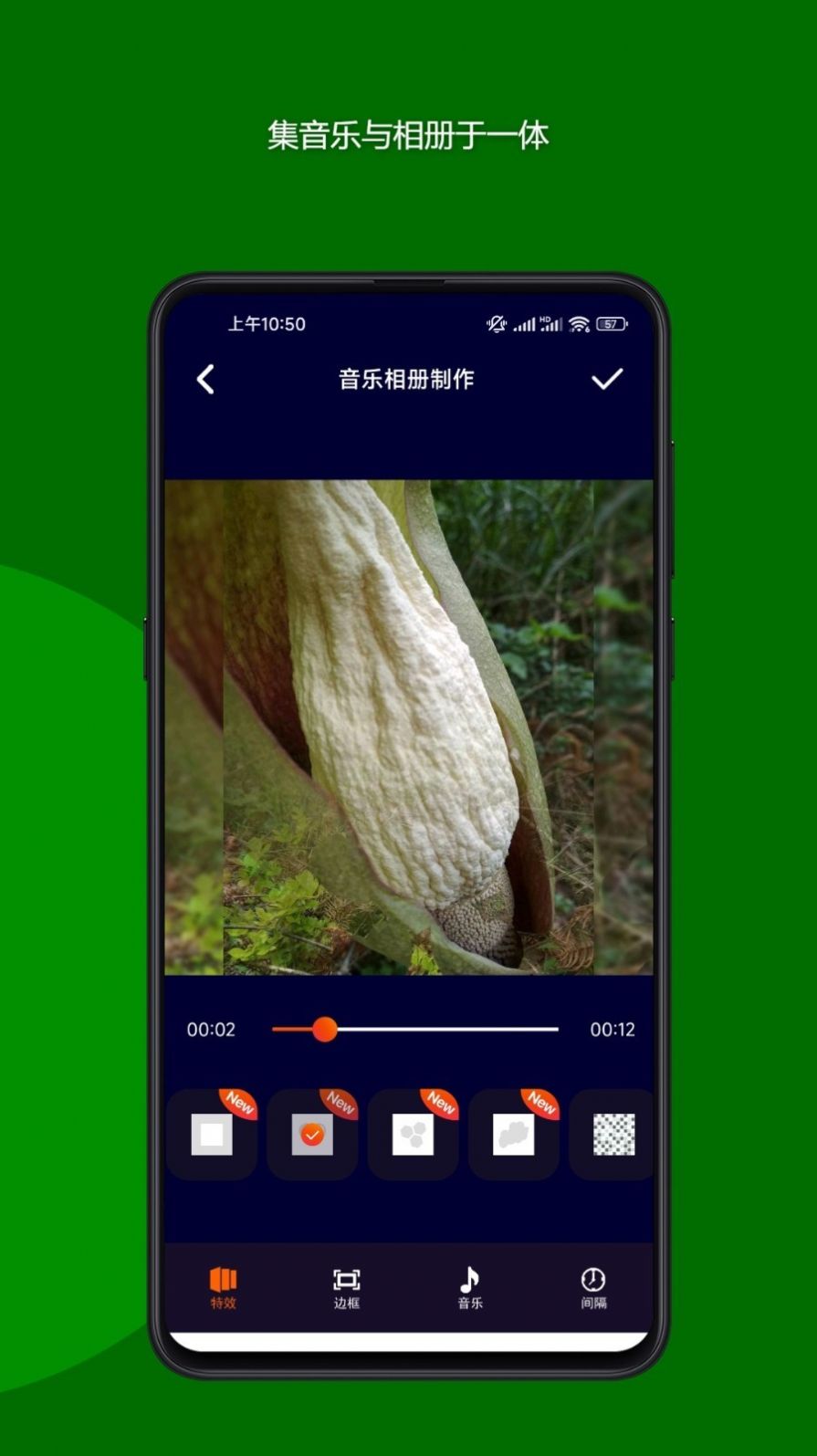 ħ���������