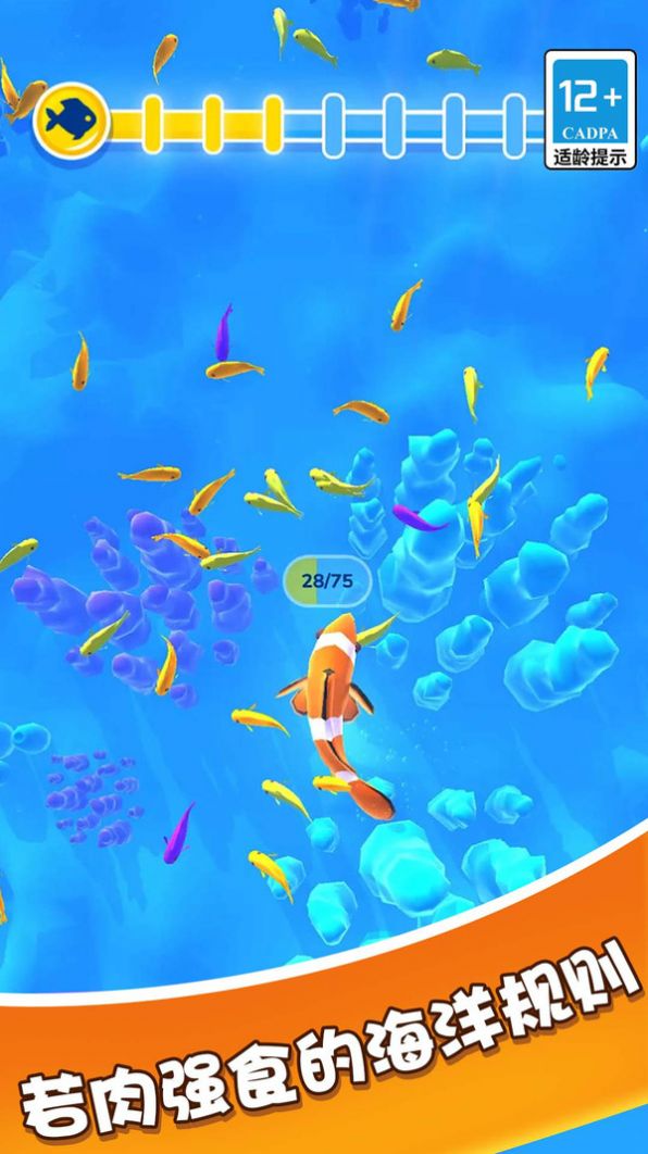 ��������֮·