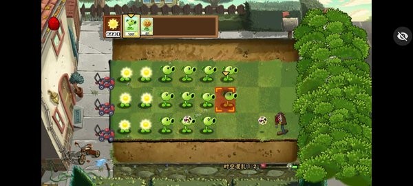 ����鿴��ͼ