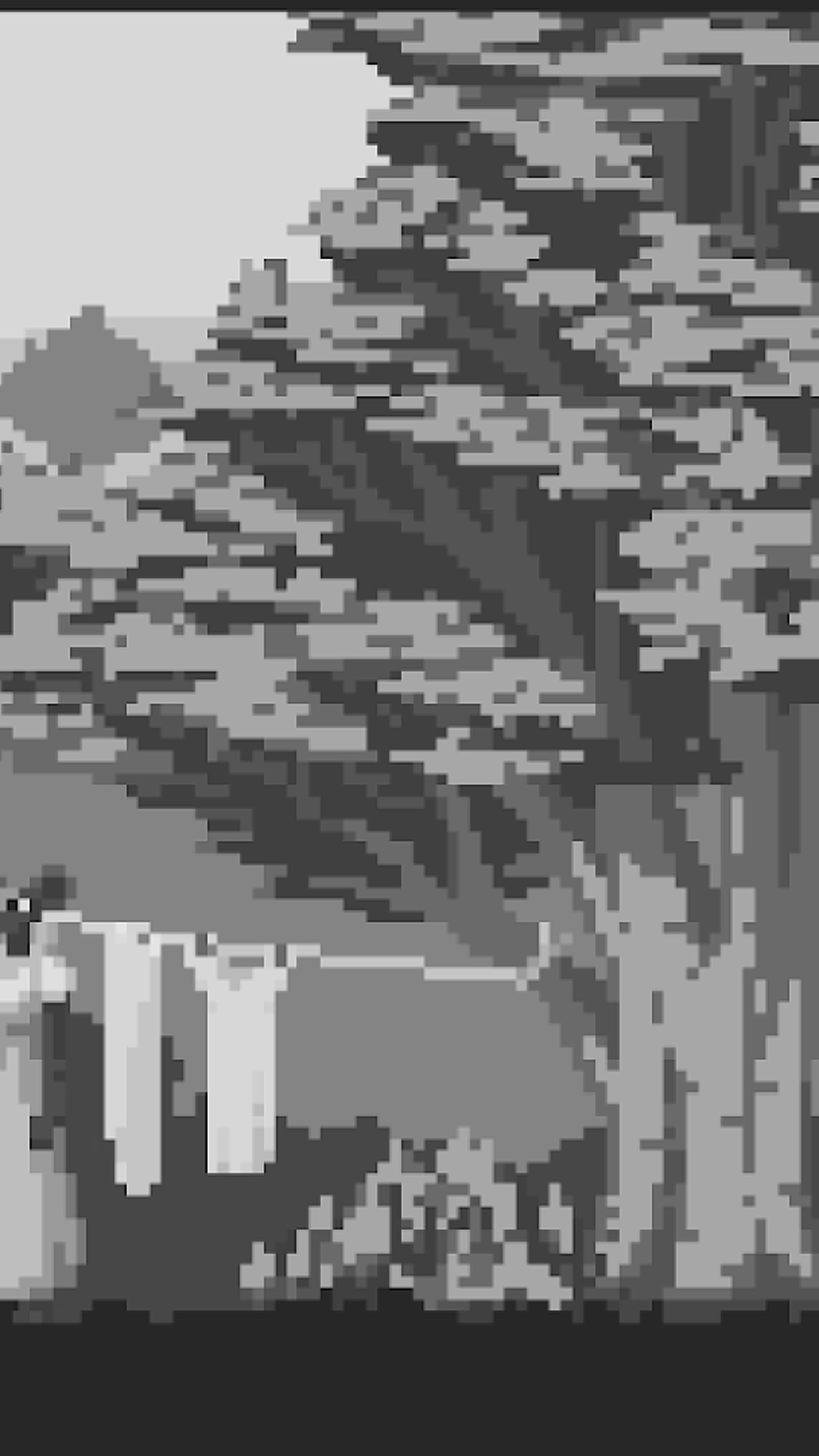 ����鿴��ͼ