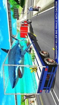 海洋动物运输车驾驶模拟