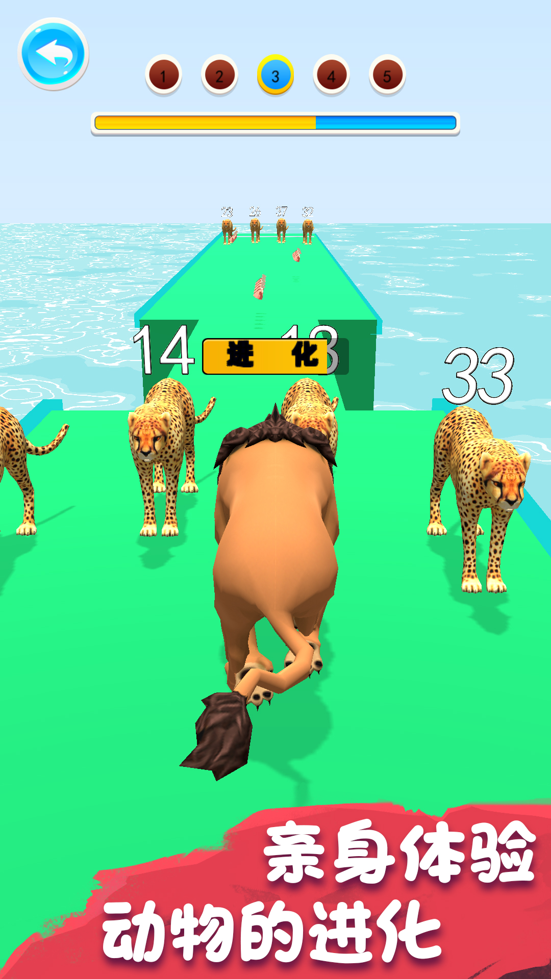 动物进化模拟器 动物进化模拟器