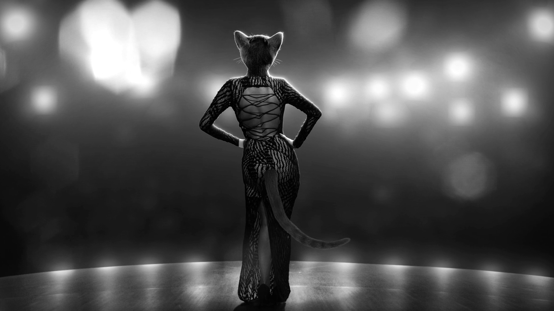 ����鿴��ͼ