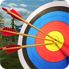 Archery Master 3D(3D�����ʦ)