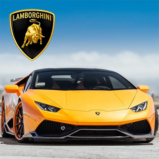 ����ʶ��