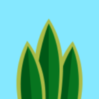 Terrarium(�λ�ֲ��԰)