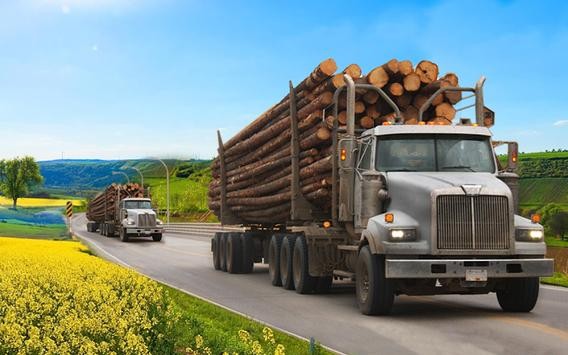 货车模拟 货车模拟