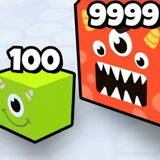 ���龺����