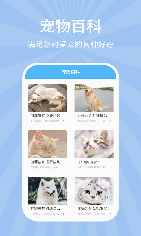 狗猫翻译器 狗猫翻译器
