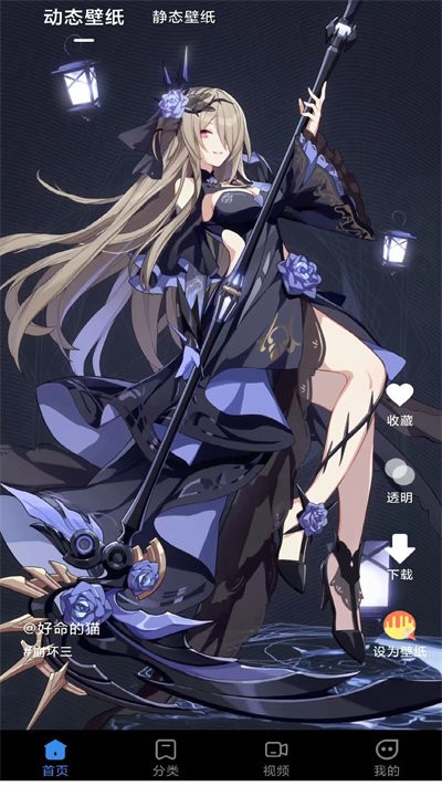 ����鿴��ͼ