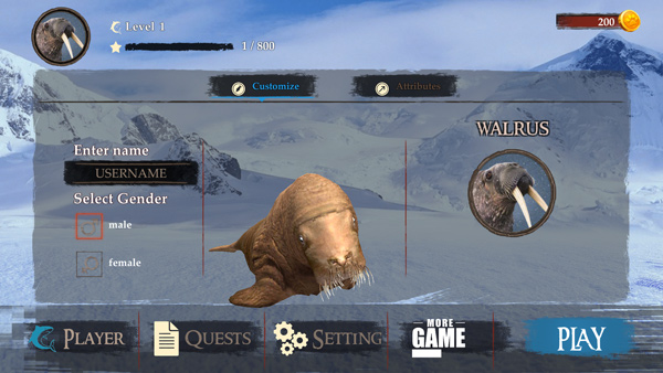 ����鿴��ͼ