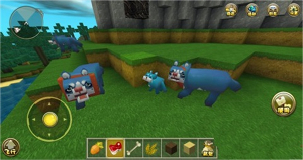 ����鿴��ͼ