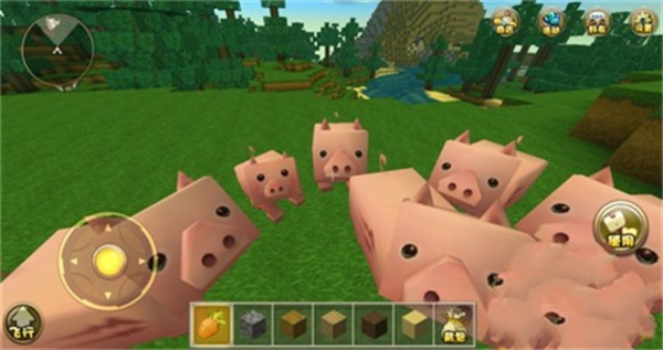 ����鿴��ͼ