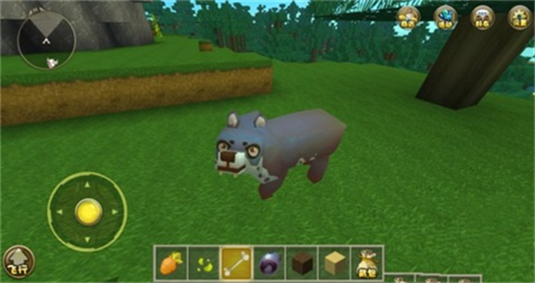 ����鿴��ͼ