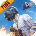 pubg�ٷ���������
