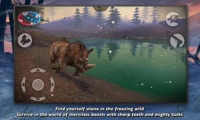 ����鿴��ͼ