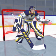 �������������3DHockeyStars3D