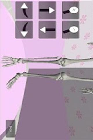 3d�������