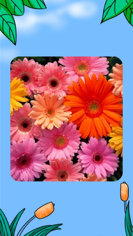 江南花园美如春 江南花园美如春