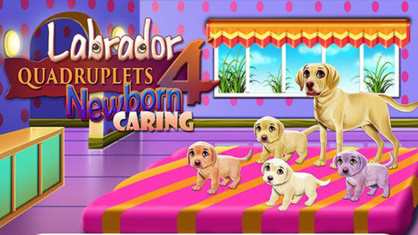 拉布拉多四胞胎新生儿护理 拉布拉多四胞胎新生儿护理