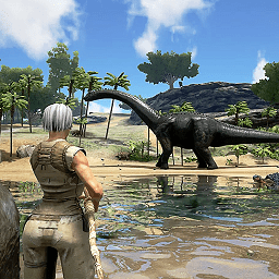 ����ɳ�н���