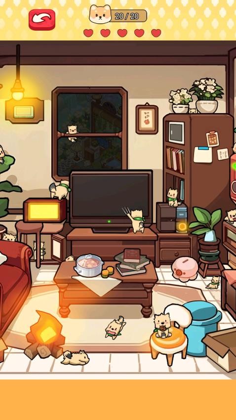 ����鿴��ͼ