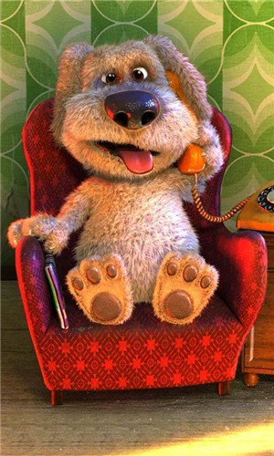 ����鿴��ͼ