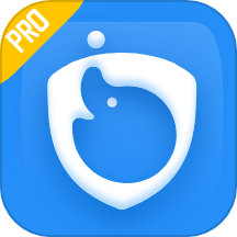 ����ݵ�Pro