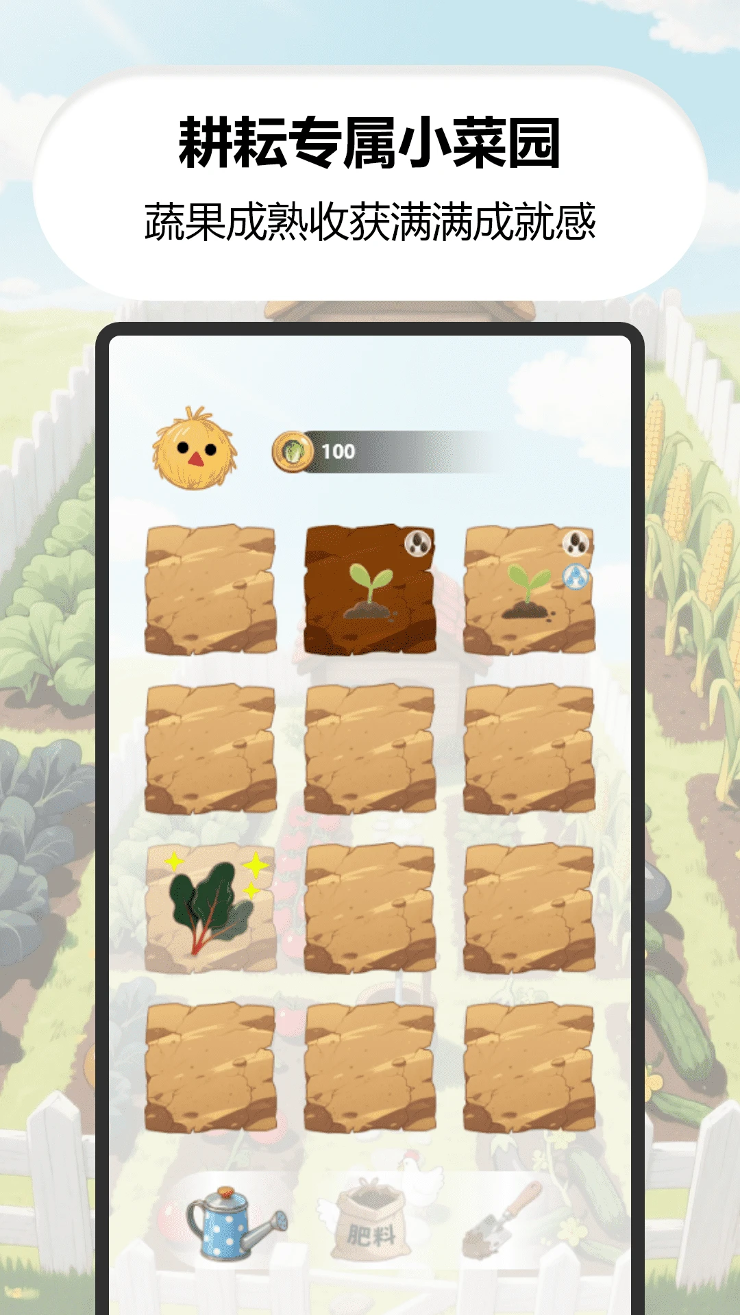 我家菜园子 我家菜园子