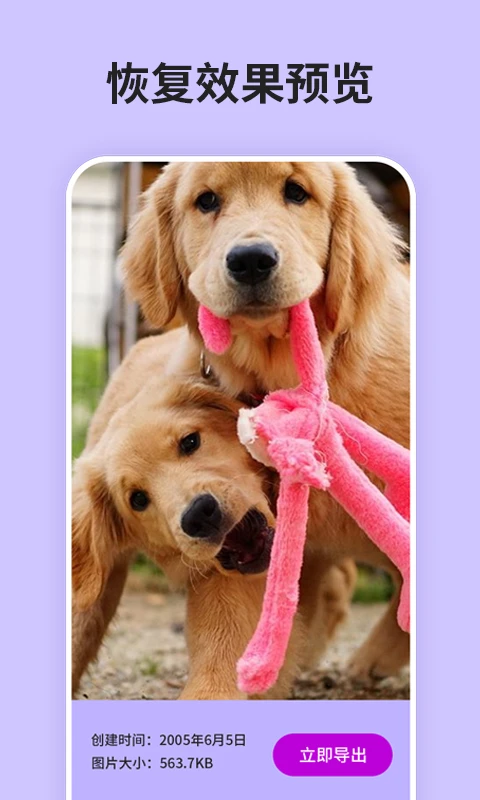 手机数据恢复精灵2026最新版 手机数据恢复精灵2026最新版