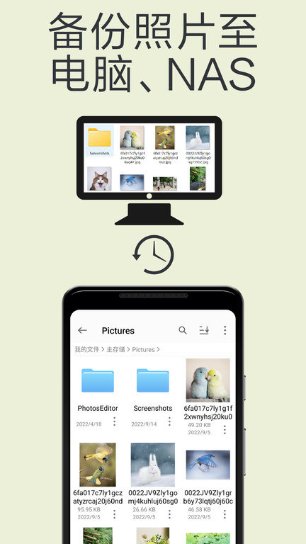 fe�ļ�������רҵ��(����èͷӥ�ļ�)