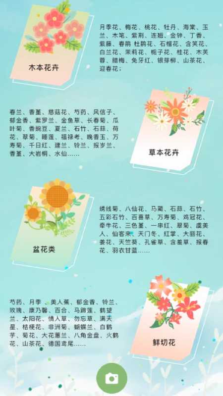 ����鿴��ͼ