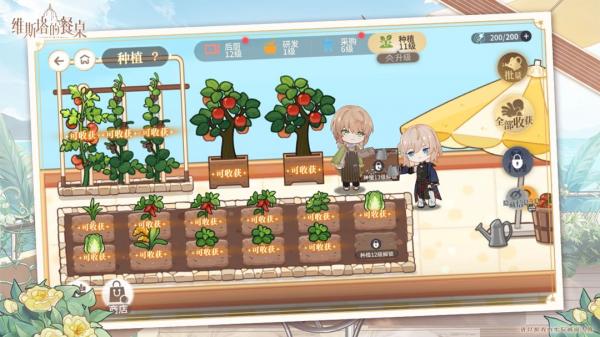 ����鿴��ͼ