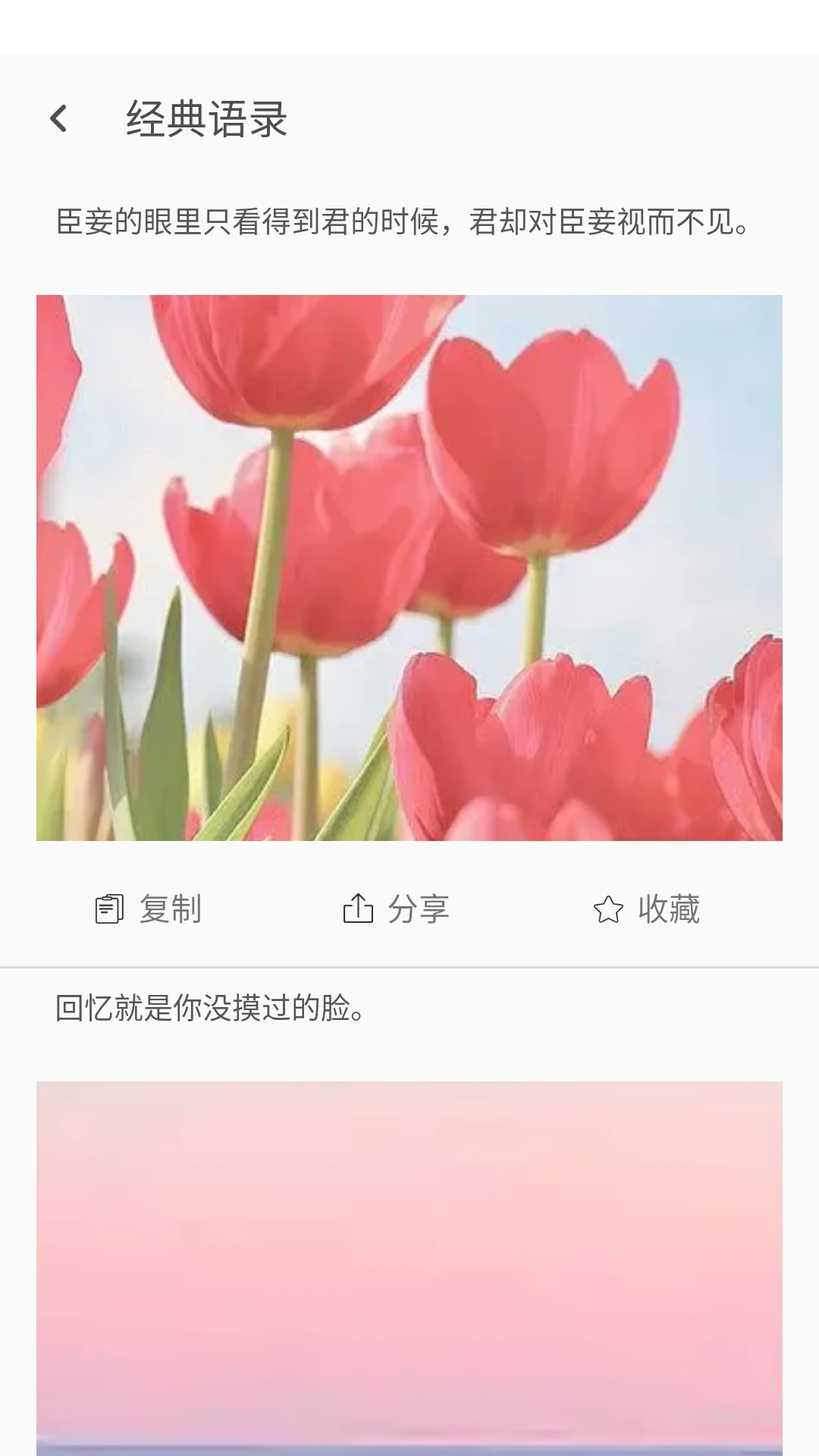 ����鿴��ͼ