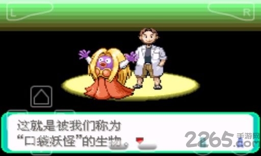 ����鿴��ͼ