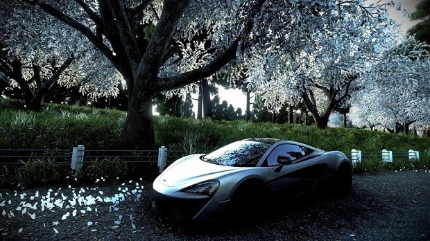 ��ʻ���ֲ�