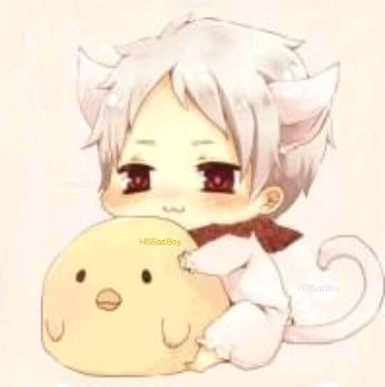 SFSһ������