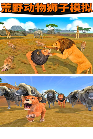 ��Ұ����ʨ��ģ��