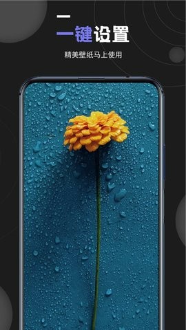 ����鿴��ͼ