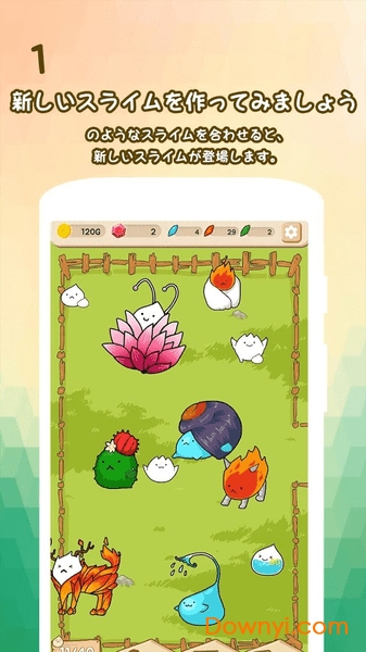 ����鿴��ͼ