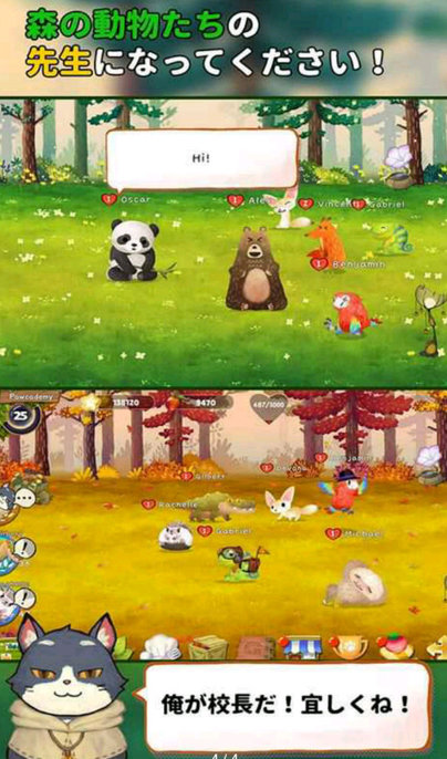 Q宠之森 Q宠之森